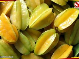 কামরাঙা খেলে কিডনি বিকল হতে পারে!