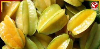 কামরাঙা খেলে কিডনি বিকল হতে পারে!