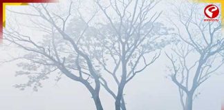 পৌষ সংক্রান্তিতে ফের কনকনে ঠান্ডা? বিগ আপডেট আবহাওয়া দফতরের