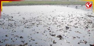 তিন বছরে ৫ হাজার কোটি খরচের পরও দূষিত যমুনা, কেন সমাধান হচ্ছে না?