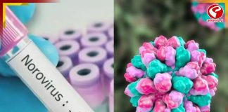 এবার নোরোভাইরাস! সংক্রমিত একের পর শিশু, দেখুন কী অবস্থা