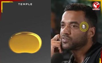 দীপিন্দরের ‘টেম্পল’ ডিভাইস কি আদৌ বিজ্ঞানসম্মত? জেনে নিন