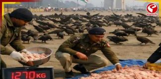 প্রজাতন্ত্র দিবসের আকাশে ‘চিকেন শিল্ড’! ১২৭৫ কেজি মুরগির মাংসে কীভাবে সুরক্ষিত থাকবে সুখোই–রাফাল?