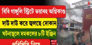 বিবি গাঙ্গুলি স্ট্রিটে ভয়াবহ আগুন, ঘটনাস্থলে দমকলের ৮টি ইঞ্জিন, ধোঁয়ায় ঢাকল এলাকা