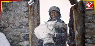 চরম শৈত্যপ্রবাহ, তাপমাত্রা মাইনাস ২৪ ডিগ্রি! জারি চূড়ান্ত সতর্কতা