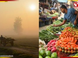 টানা শৈত্যপ্রবাহ, মারাত্মক ক্ষতির মুখে চাষবাস! অগ্নিমূল্য হবে বাজার?