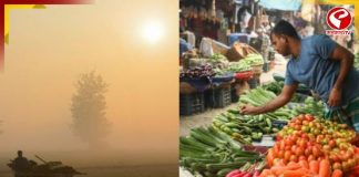 টানা শৈত্যপ্রবাহ, মারাত্মক ক্ষতির মুখে চাষবাস! অগ্নিমূল্য হবে বাজার?