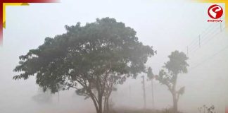 আজ থেকে বাড়ছে পারদ, জাঁকিয়ে শীত কবে ফিরবে?