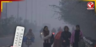 ২০২৩-এর পর শীতলতম সকাল! কত ছিল শহরের তাপমাত্রা? দেখে নিন