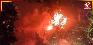 আনন্দপুরের নোনাডাঙা এলাকায় ভয়াবহ আগুন