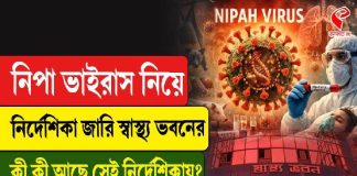 উপসর্গ থাকলেই ২১ দিনের কোয়ারেন্টিন! নিপা নিয়ে বড় নির্দেশ রাজ্যের
