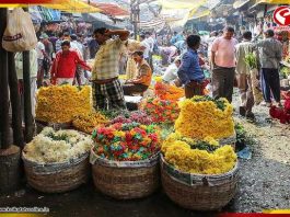 সরস্বতী পুজো থেকে নেতাজি বন্দনা, সঙ্গে বিয়ে! ‘ত্রিফলায়’ ফুলের দাম আরও চড়া