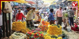 সরস্বতী পুজো থেকে নেতাজি বন্দনা, সঙ্গে বিয়ে! ‘ত্রিফলায়’ ফুলের দাম আরও চড়া