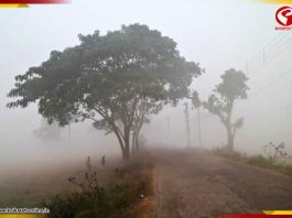 ফের তাপমাত্রা কমল কলকাতায়! শীতের ‘দ্বিতীয় ইনিংস’-এর ইঙ্গিত?