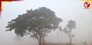 ফের তাপমাত্রা কমল কলকাতায়! শীতের ‘দ্বিতীয় ইনিংস’-এর ইঙ্গিত?