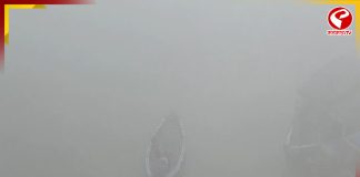 কুয়াশায় মোড়া দক্ষিণ ২৪ পরগনা, পারদ নামল ৯ ডিগ্রির কাছে