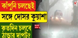 কাঁপুনি চলছেই, সঙ্গে দোসর কুয়াশা, কতদিন চলবে ঠান্ডার দাপট?