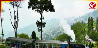 পাহাড়ে এবার টয়ট্রেনে ‘জঙ্গল সাফারি, থাকবে ভুরিভোজও, বিশেষ প্যাকেজ