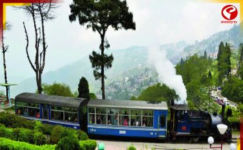 পাহাড়ে এবার টয়ট্রেনে ‘জঙ্গল সাফারি, থাকবে ভুরিভোজও, বিশেষ প্যাকেজ