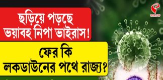 ছড়িয়ে পড়ছে ভয়ঙ্কর নিপা ভাইরাস! ফের কি লকডাউনের পথে রাজ্য? কী বলছেন বিশেষজ্ঞরা