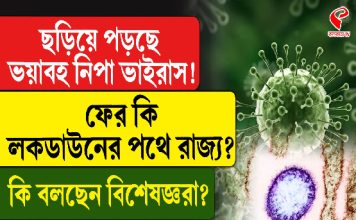 ছড়িয়ে পড়ছে ভয়ঙ্কর নিপা ভাইরাস! ফের কি লকডাউনের পথে রাজ্য? কী বলছেন বিশেষজ্ঞরা