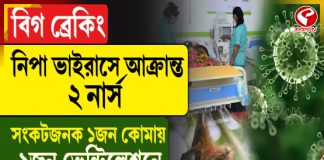 বিগ ব্রেকিং: নিপা ভাইরাসে আক্রান্ত ২ নার্স, একজন কোমায়, অপরজন ভেন্টিলেশনে
