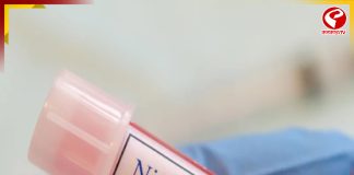 নিপা ভাইরাস ঠিক কতটা মারাত্মক? করোনার মতোই ভয়াবহ?