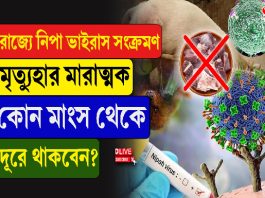 রাজ্যে নিপা ভাইরাস সংক্রমণ, মৃত্যুর হার মারাত্মক, কোন মাংস থেকে দূরে থাকবেন?