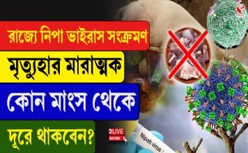 রাজ্যে নিপা ভাইরাস সংক্রমণ, মৃত্যুর হার মারাত্মক, কোন মাংস থেকে দূরে থাকবেন?