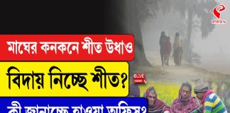 মাঘের শুরুতেই শীত উধাও! বিদায় নিচ্ছে শীত? কী জানাচ্ছে হাওয়া অফিস