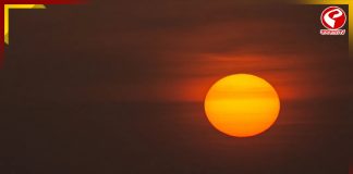 সূর্যের গোচরে কর্মজীবনে ফুলে ফেঁপে উঠবে এই জাতক জাতিকারা