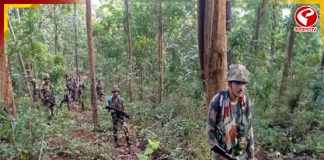 ছত্তিশগড়ে নিরাপত্তা বাহিনীর হাতে খতম ১২ মাওবাদী!