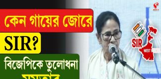 কেন গায়ের জোরে SIR? বিজেপিকে তুলোধনা মমতার