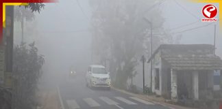 ঘন কুয়াশা ও শৈত্যপ্রবাহে জুবুথুবু বসিরহাট-সুন্দরবন!