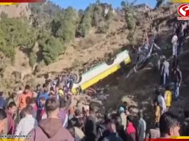 ৩০০ মিটার গভীর খাদে পড়ল বাস! ভয়াবহ ঘটনা হিমাচল প্রদেশে