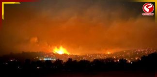 দাবানলের কবলে অস্ট্রেলিয়া! পুড়ে ছাই একাধিক বাড়ি