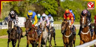 ঘোড়দৌড়ের সময় নাবালককে দাঁতে করে তুলে নিল ঘোড়া! তারপর..