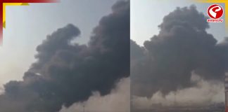 ছত্তিশগড়ে মর্মান্তিক ঘটনা! চাঞ্চল্য এলাকায়