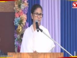 নেতাজি বেঁচে থাকলে নাগরিকত্বের প্রমাণ দিতে হত? প্রশ্ন মমতার