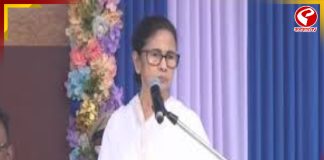 নেতাজি বেঁচে থাকলে নাগরিকত্বের প্রমাণ দিতে হত? প্রশ্ন মমতার