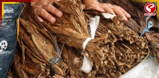 তামাকজাত পণ্যে সম্পূর্ণ নিষেধাজ্ঞা জারি ওড়িশা সরকারের!