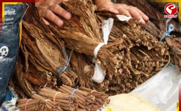 তামাকজাত পণ্যে সম্পূর্ণ নিষেধাজ্ঞা জারি ওড়িশা সরকারের!