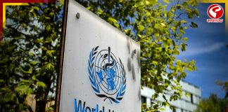 বাংলায় নিপা ভাইরাস সংক্রমণ নিয়ে কী বলল WHO?