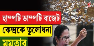 হাম্পটি ডাম্পটি বাজেট, কেন্দ্রকে তুলোধনা মমতার