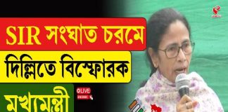 SIR সংঘাত চরমে! দিল্লিতে বিস্ফোরক মুখ্যমন্ত্রী, কী বললেন দেখুন