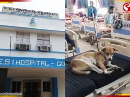 হাসপাতালের বেডে কুকুর! ছবি ভাইরাল হতেই শাসক-বিরোধী তরজা