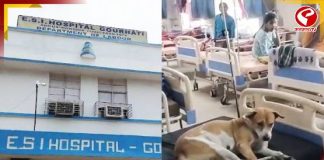 হাসপাতালের বেডে কুকুর! ছবি ভাইরাল হতেই শাসক-বিরোধী তরজা