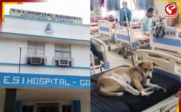 হাসপাতালের বেডে কুকুর! ছবি ভাইরাল হতেই শাসক-বিরোধী তরজা
