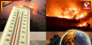 হু হু করে বাড়ছে তাপমাত্রা! ২০২৬-এর গ্রীষ্মে পুড়ে ছারখার হবে পৃথিবী? সতর্ক করছেন বিজ্ঞানীরা