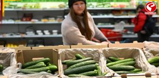 পুতিনের দেশে ‘সোনা’র দরে বিকোচ্ছে শসা